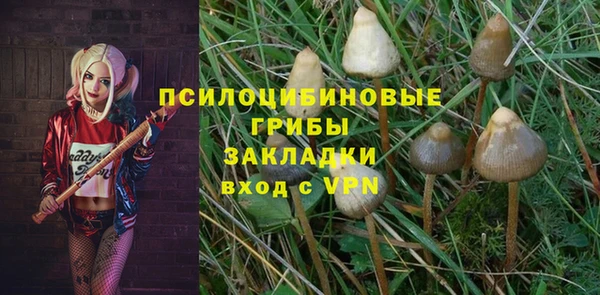 не бодяженный Алзамай