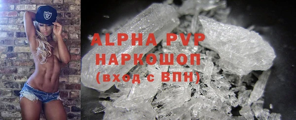 гидра Новодвинск