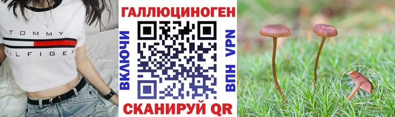 Галлюциногенные грибы мицелий  наркота  Чкаловск 